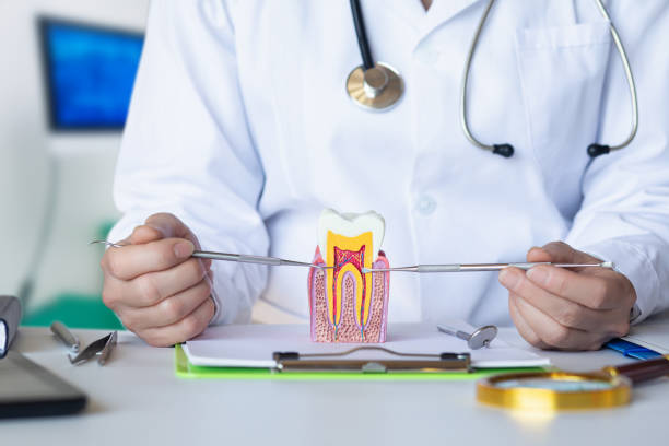 Best Urgent Care for Lost Fillings or Crowns in Hrison, AR